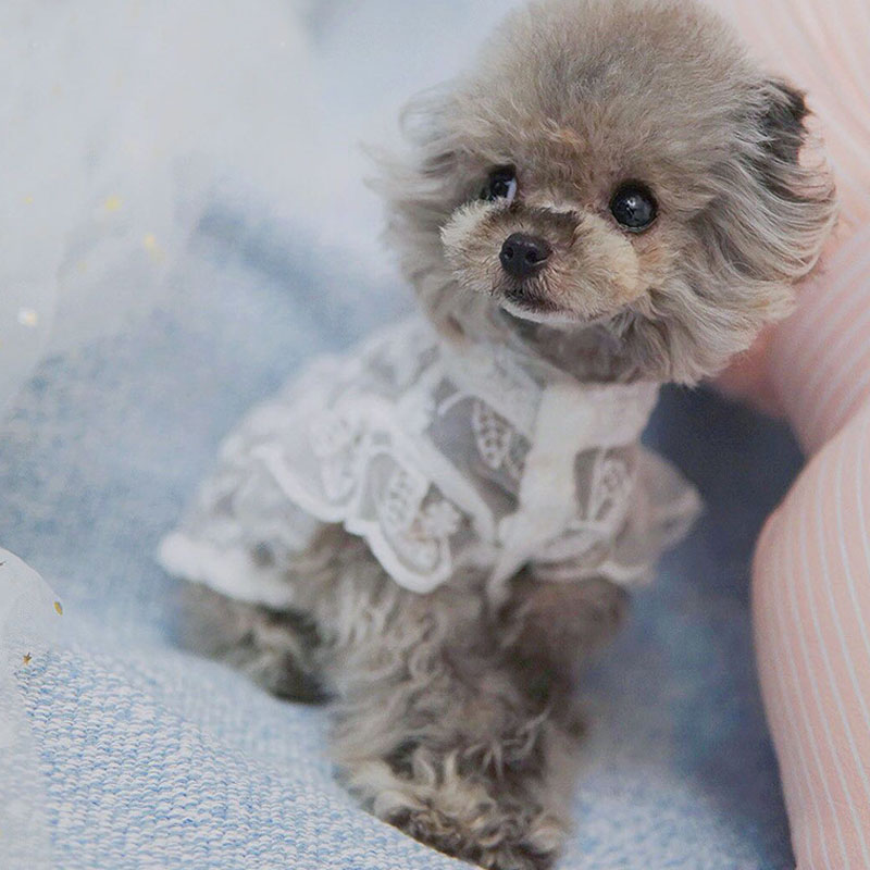 Robe de mariage princesse en d - Xl Summer Clothing avis et prix