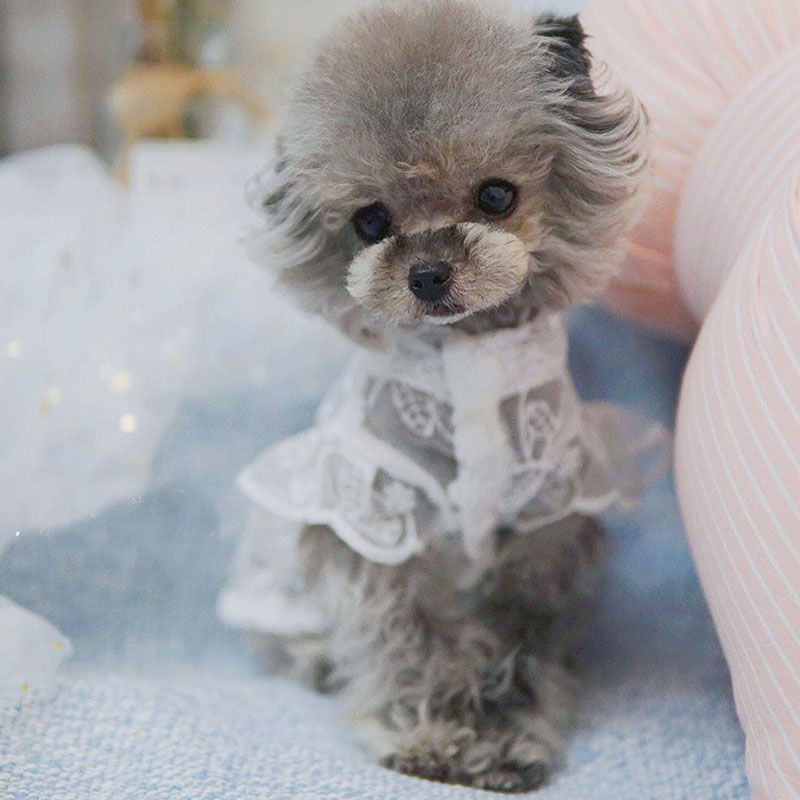 Robe de mariage princesse en d - Xl Summer Clothing avis et prix